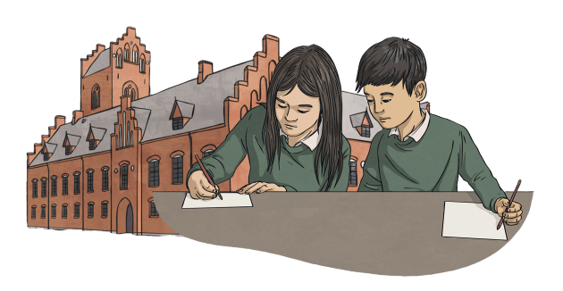 Transition & First-Year Preparation illustration